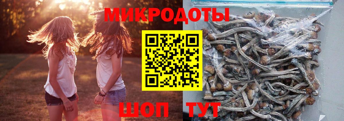 Галлюциногенные грибы Psilocybe  Псилоцибиновые грибы Magic Shrooms  Вход с VPN  Новодвинск 