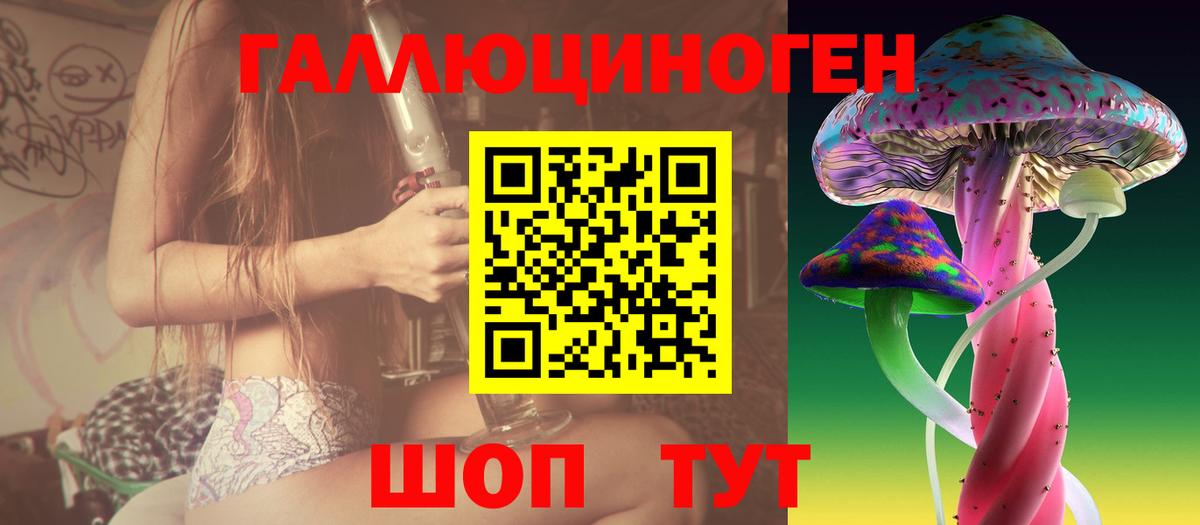 Псилоцибиновые грибы прущие грибы Новодвинск